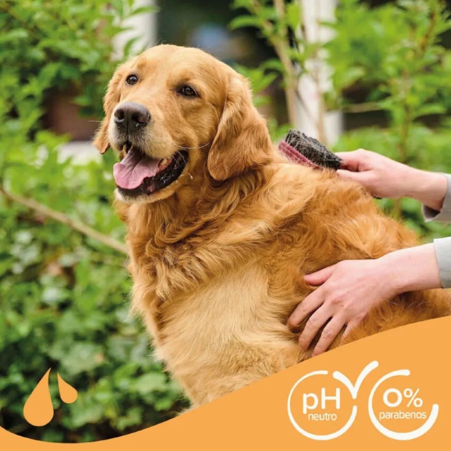 Beaphar Pelo Marrón Champú para perros