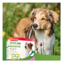 Beaphar Pipetas Repelentes para perros