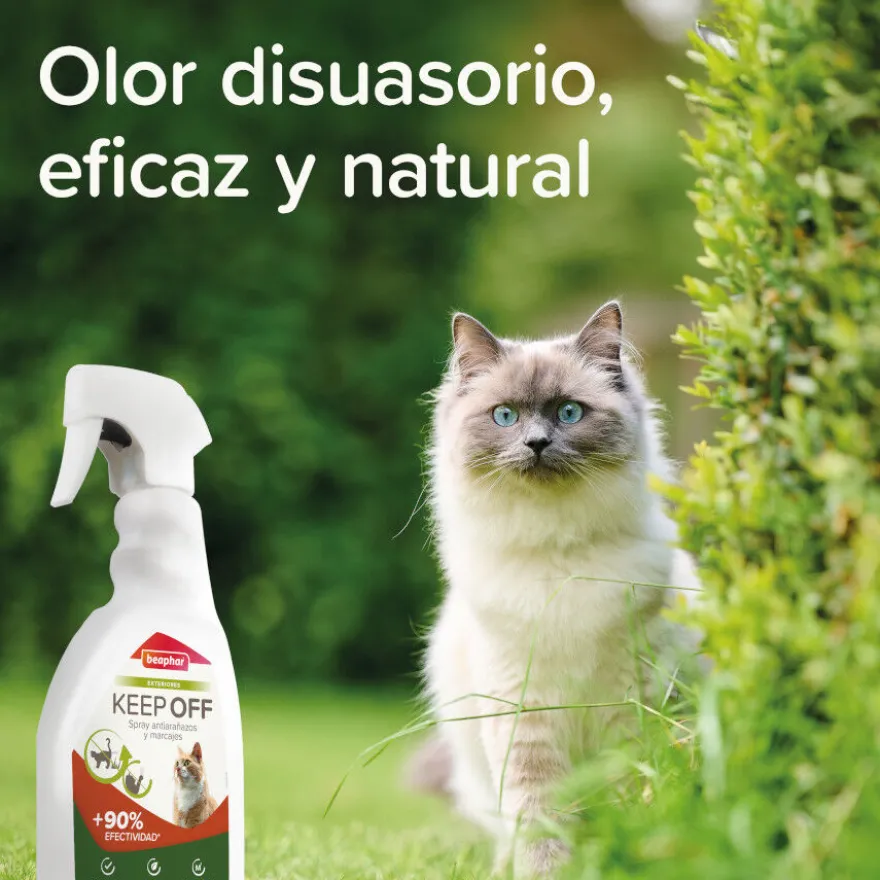 Beaphar Spray Educador Exteriores para Gatos