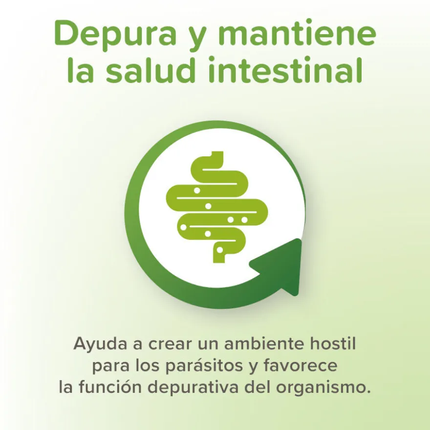 Beaphar Vermipure Repelente Interno Natural en comprimidos para gatos y gatitos