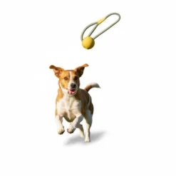 BECO Mordedor de goma con Cuerda Amarillo para perros