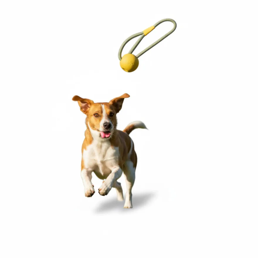 BECO Mordedor de goma con Cuerda Amarillo para perros