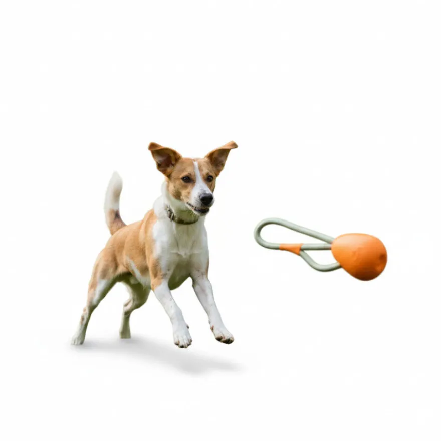 BECO Mordedor de Goma con Cuerda Naranja para perros