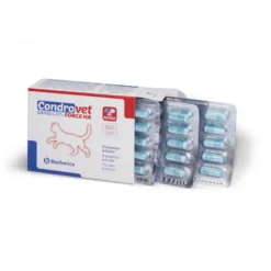 Bioiberica Condrovet Force HA Condroprotector para gatos