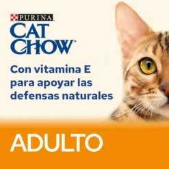 Cat Chow Buey en Gelatina