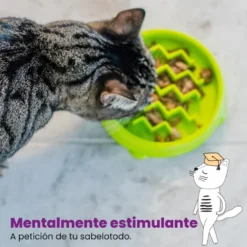 Catstages Cat Fun Comedero Lento Verde para gatos