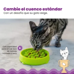 Catstages Cat Fun Comedero Lento Verde para gatos