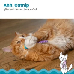 Catstages Chew Ratón con Catnip para gatos