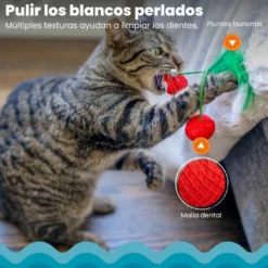 Catstages Dental Cherries Peluche Suave de Cerezas para gatos