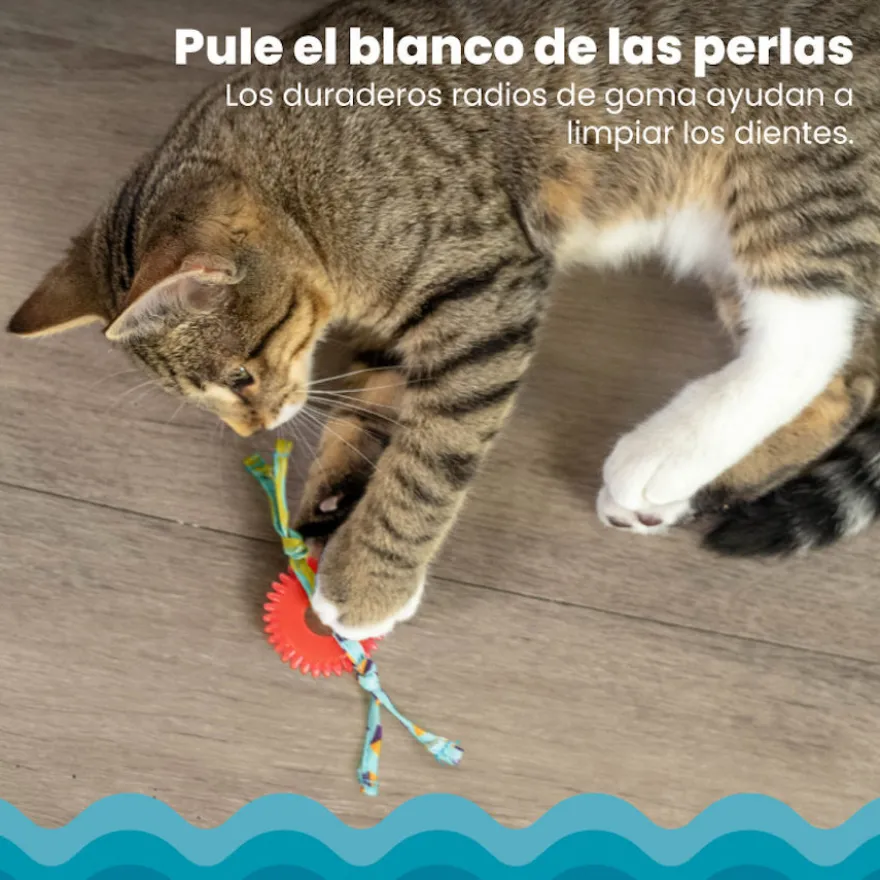 Catstages Kitty Chew Roja Rueda Mordedor para gatos