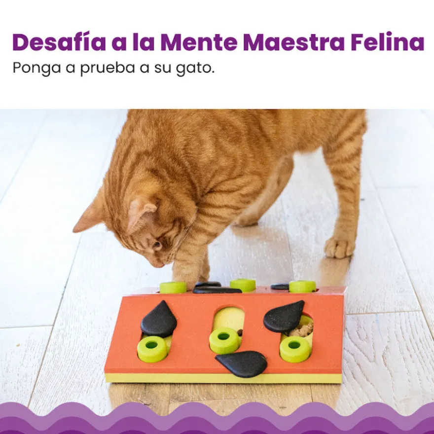 Catstages Nina Ottosson Puzzle & Play Melon Madness Juguete de Inteligencia para gatos