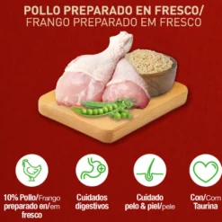 Catxtreme Adult Outdoors Pollo pienso para gatos