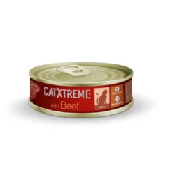 Catxtreme Pack pequeño - Esenciales del día a día