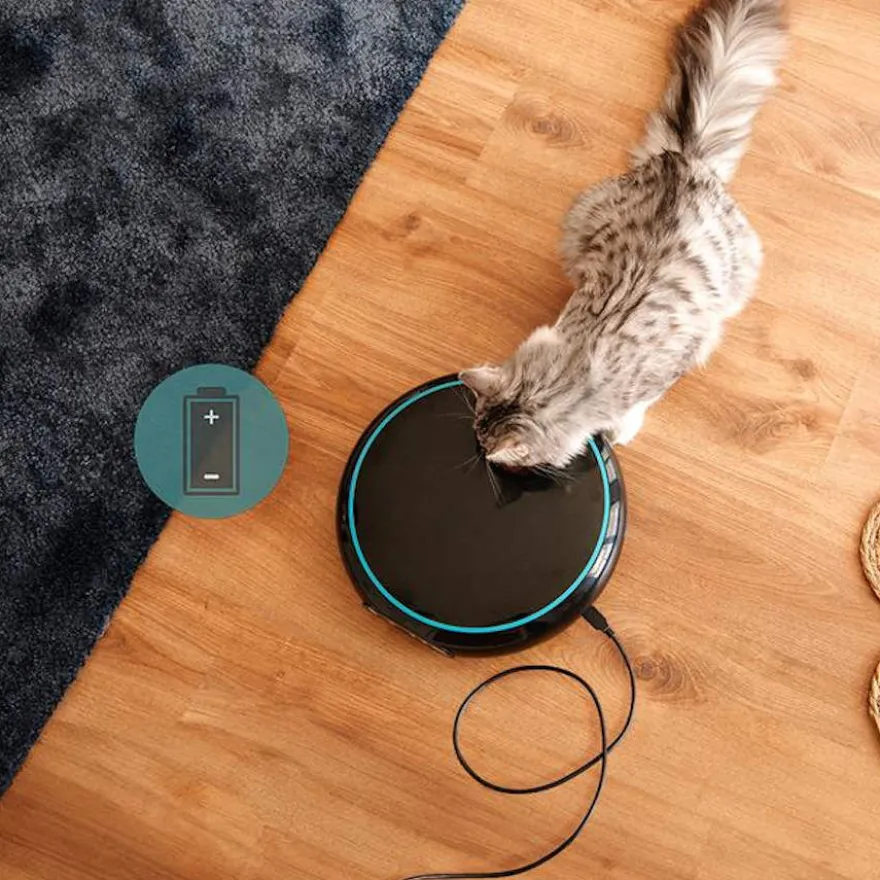 Cecotec Pumba 1600 Purrfect Meal Comedero Dispensador para perros y gatos