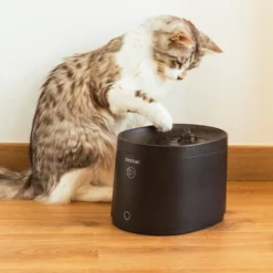 Cecotec Pumba 2500 Refresh Smart Fuente Bebedero Automático para gatos
