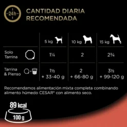 Cesar Buey y Verduras Tarrina en Gelatina para Perros