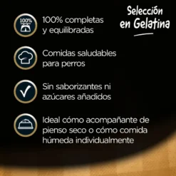 Cesar Carnes Mixtas Gelatina en Bolsita para Perros - Multipack