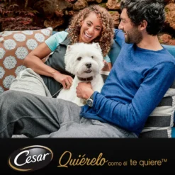 Cesar Carnes Mixtas Gelatina en Bolsita para Perros Senior - Multipack