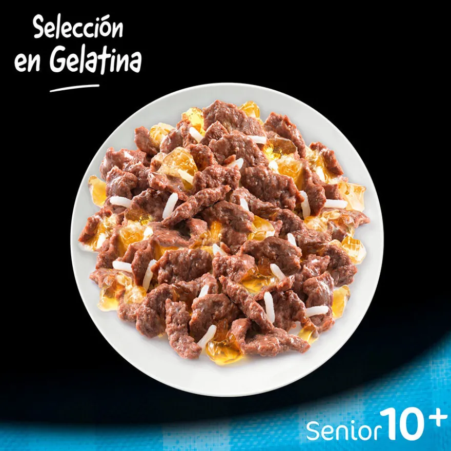 Cesar Carnes Mixtas Gelatina en Bolsita para Perros Senior - Multipack