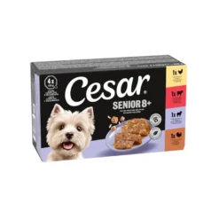 Cesar Carnes Mixtas Tarrina en Gelatina para Perros Senior - Multipack