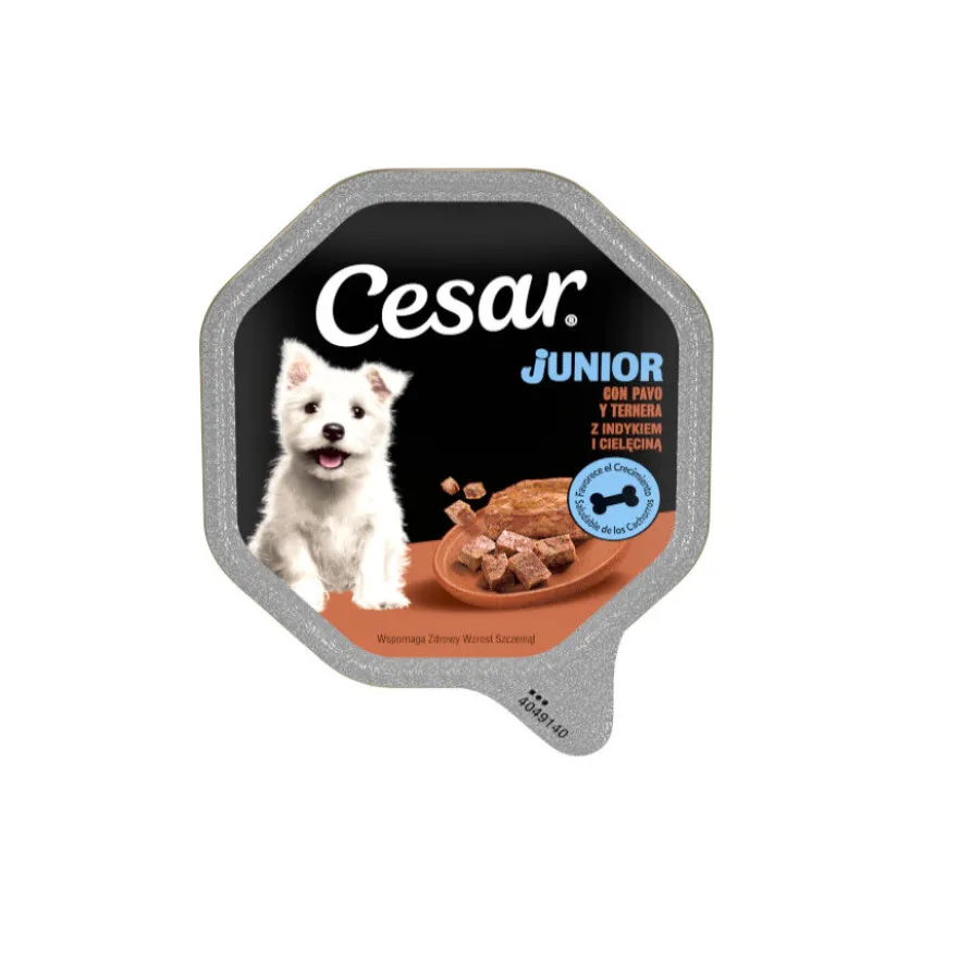 Cesar Pavo y Ternera Tarrina en Gelatina para Cachorros