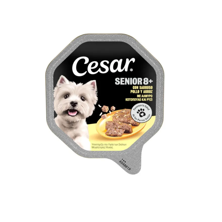 Cesar Pollo y Arroz Tarrina en Gelatina para Perros Senior