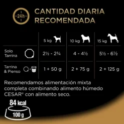Cesar Receta campesina tarrina en Salsa para Perros - Multipack