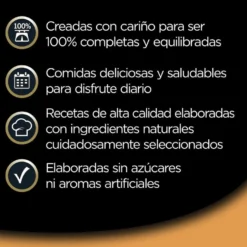 Cesar Recetas de la huerta Tarrina en Paté y Gelatina para Perros - Multipack