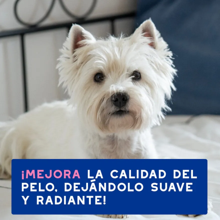 Ceva Douxo Spa Champú Alivia para perros