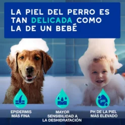 Ceva Douxo Spa Champú Antiolor para perros