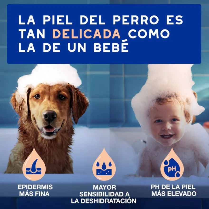 Ceva Douxo Spa Champú Control de Muda para perros