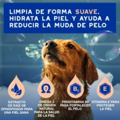 Ceva Douxo Spa Champú Control de Muda para perros