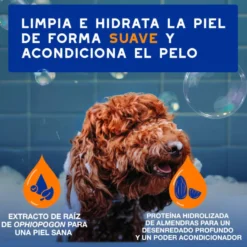 Ceva Douxo Spa Champú 2 en 1 Desenredante para perros