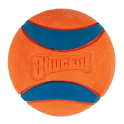 Chuckit! Ultra Pelota Grande con Brillo para perros