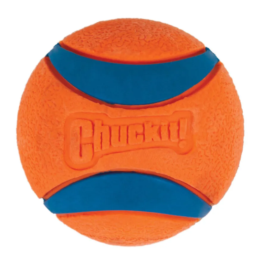 Chuckit! Ultra Pelota Grande con Brillo para perros