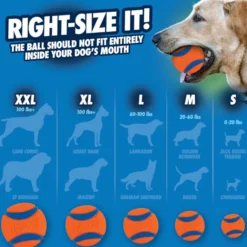 Chuckit! Ultra Pelota Naranja para perros pequeños