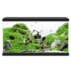 Ciano Aqua Led 60 Negro acuario con luz led, filtro y calentador