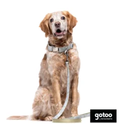 Collar estampado de hojas para perros