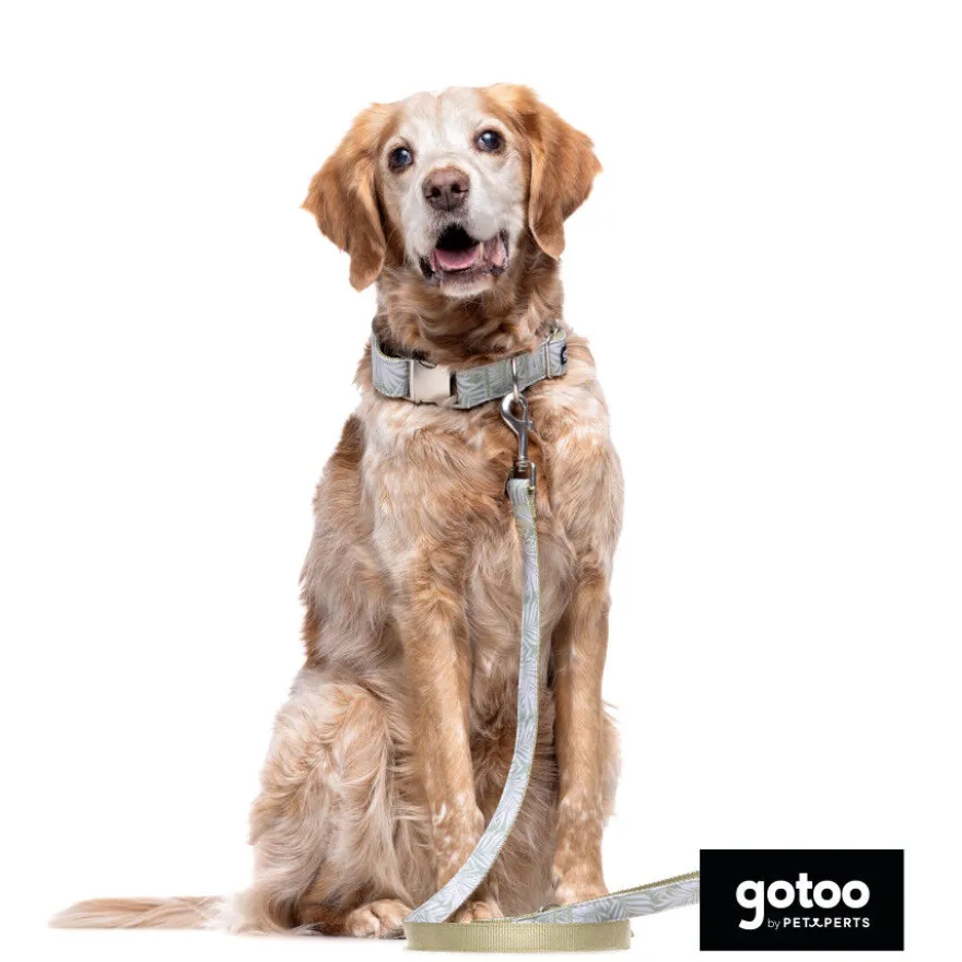 Collar estampado de hojas para perros
