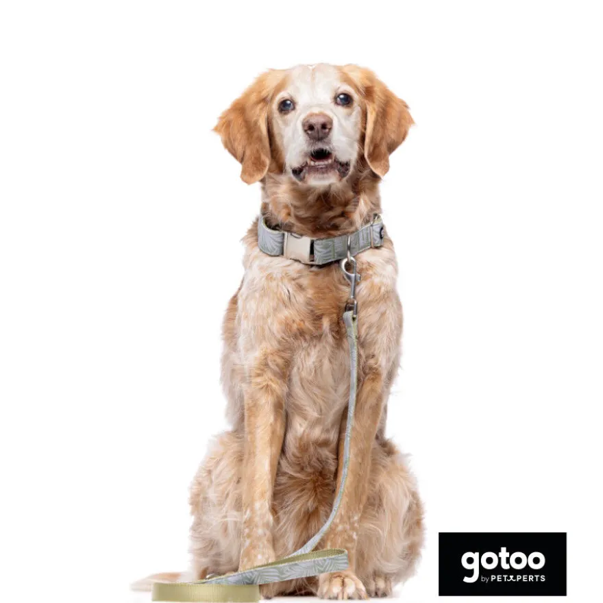 Collar estampado de hojas para perros