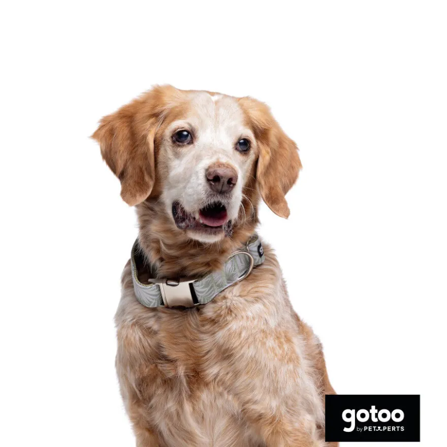 Collar estampado de hojas para perros