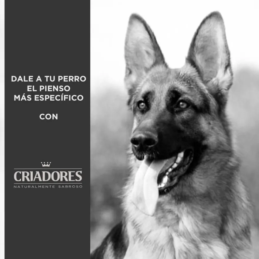 Criadores Adulto Cordero y Arroz pienso para perros de razas mediana y grande
