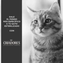 Criadores Adulto Esterilizado Pollo pienso para gatos