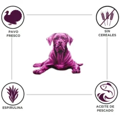 Criadores Adulto Grain Free Pavo pienso para perros de raza mediana y grande