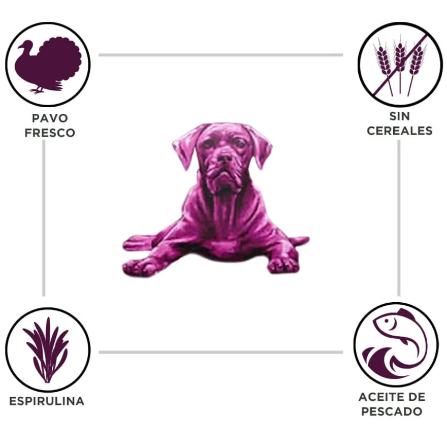 Criadores Adulto Grain Free Pavo pienso para perros de raza mediana y grande
