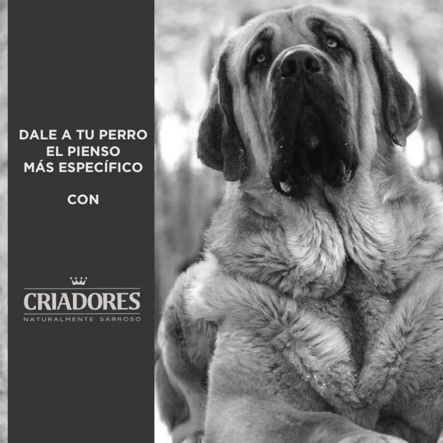 Criadores Adulto Light pienso para perros de raza grande y mediana
