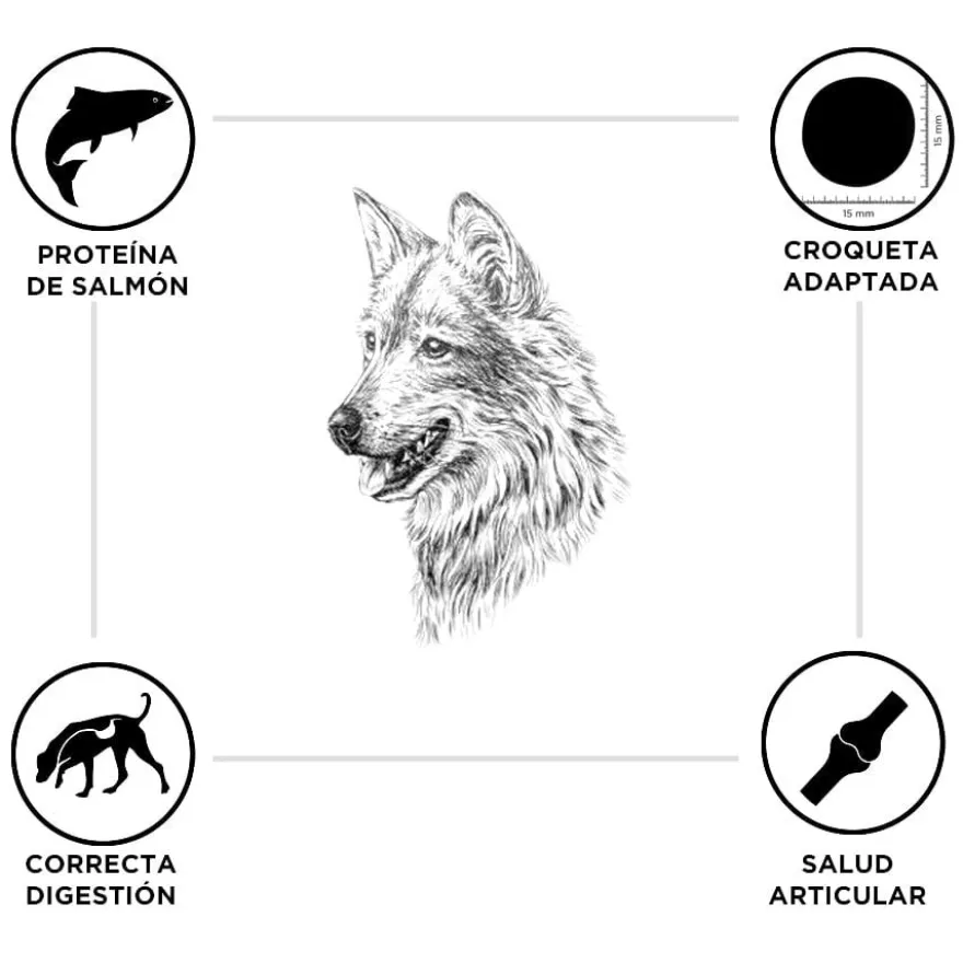 Criadores Adulto Salmón y Arroz pienso para perros de razas medianas y grandes