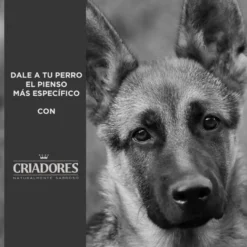 Criadores Adulto Salmón y Arroz pienso para perros de razas medianas y grandes