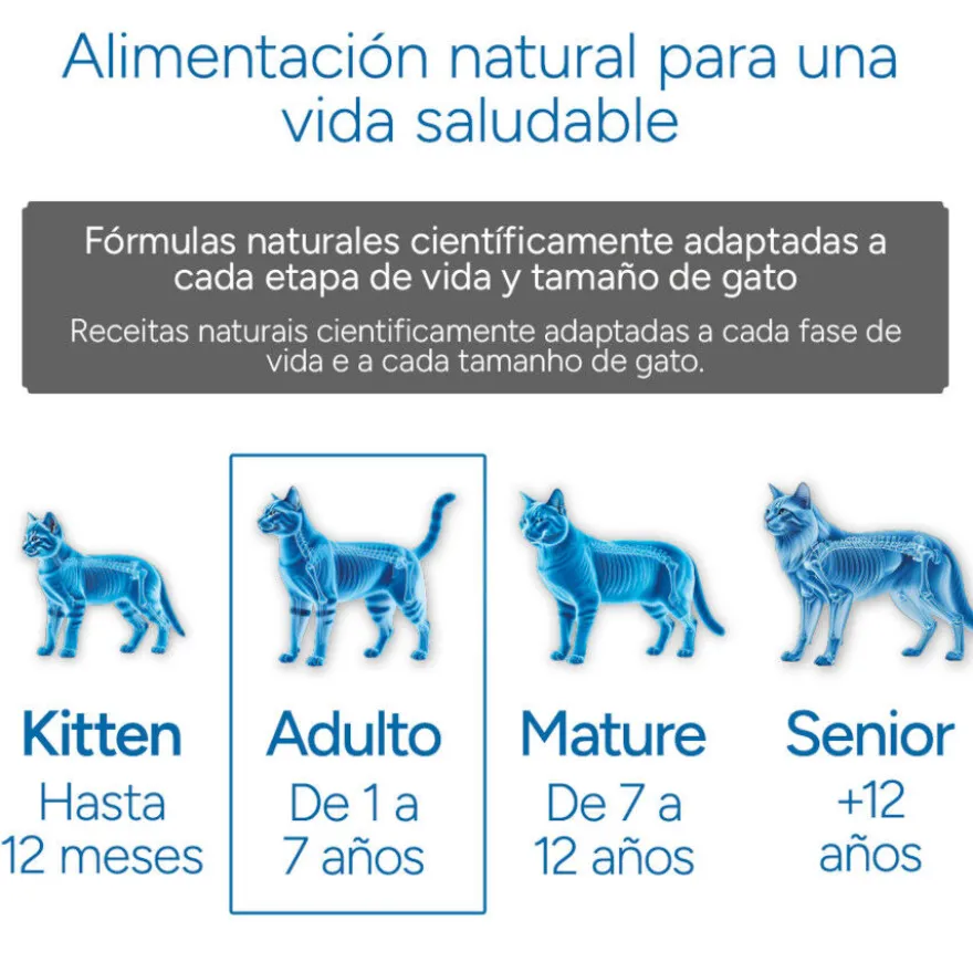 Criadores Científico Adulto Esterilizado Pollo pienso para gatos