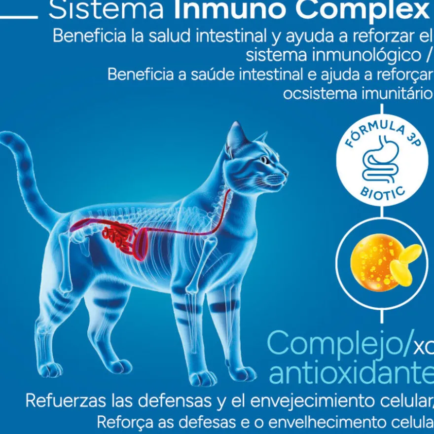 Criadores Científico Adulto Esterilizado Pollo pienso para gatos